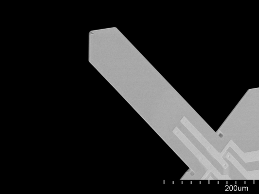 压阻式自感应探针,Tipless无针尖,PRS 450×100µm,SCL-Sensor