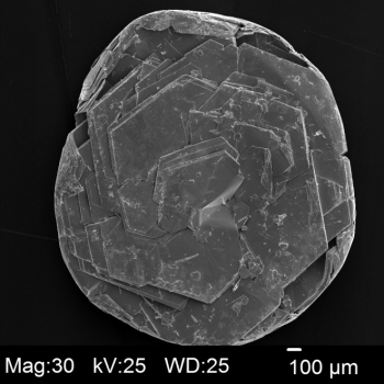 二硫化钨 （WS2）,单晶,10mm2,SPI