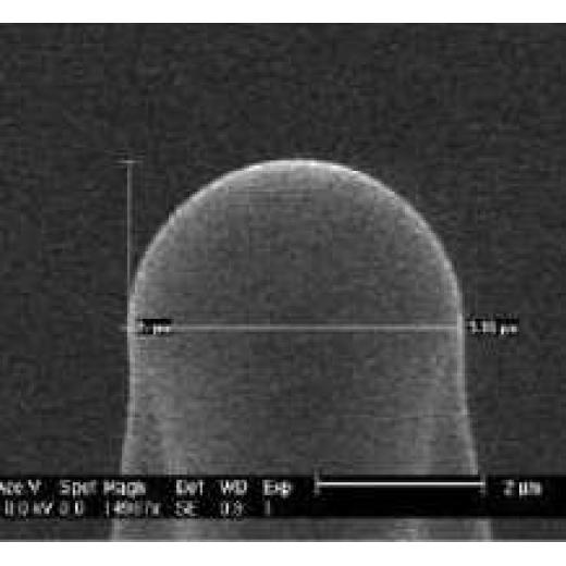 Nanosensors微球针尖 Si/SiO2球
