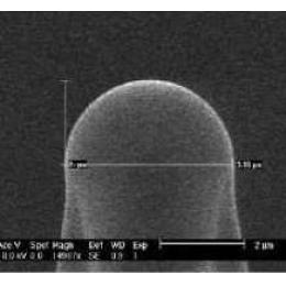 Nanosensors微球针尖 Si/SiO2球
