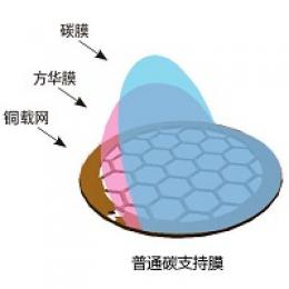 100枚装碳支持膜