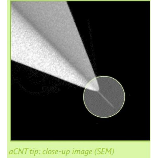 aCNT-NCH / aCNT-FM无定型碳纳米管针尖HDC/DLC, 2nm,48N/M|2.8N/M, Nanotools