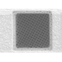 QUANTIFOIL R 1/2,200-400目铜网多孔碳膜