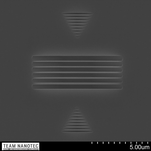 IVPS100-PTB针尖宽度校准,线宽50-130nm,TEAM NANOTEC
