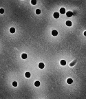 SPI-Pore 聚碳酸酯轨道蚀刻膜,Ø47mm,孔径0.01-20µm