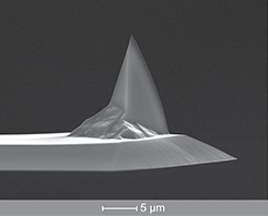 SCM-PIT-75,导电针尖,镀PtIr5,2.8N/M,Nanoworld