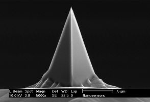 PPP-NCR, 轻敲模式针尖, Olympus AC160型,26N/M,Al,Nanosensors