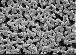 SPI-Pore 银膜过滤器,尺寸Ø13mm,孔径0.2-5um