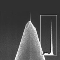 NW-AR5-NCHR轻敲,高长径比,42N/M,Al,Nanoworld