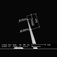 AR5T-NCH轻敲,高长径比,42N/M,Nanosensors，AR5T-NCHR,Al/None