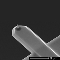 USC-F0.3-k0.3类石英生物针尖,FastScan，EBD，Nanoworld