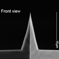 ATEC-EFM,导电可视化针尖,镀Pt,2.8N/M,Nanosensors