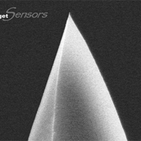 ContGB-G,导电针尖,镀Au,0.2N/M,Budgetsensors