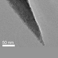 PPP-NCLAu,导电针尖,镀Au,48N/M,Nanosensors