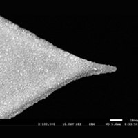 PtSi-FM,导电针尖,镀PtSi,2.8N/M,Nanosensors