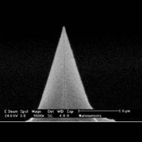 CDT-NCHR,镀金刚石针尖矩形悬臂,80N/M,导电,Nanosensors