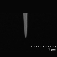 TN-HAR-20,碳纳米管针尖,20nm,,长径比>10:1,CDI