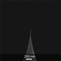 160AC-FG,碳纳米管针尖,10nm,26N/M,长径比>4:1,OPUS