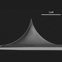 qp-CONT类石英生物针尖,Nanosensors