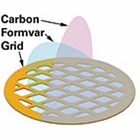 进口25枚装200-400镍网方华膜碳微栅支持膜