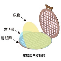 国产双联载网碳支持膜 磁性样品