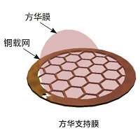 国产50枚装 50-400目无碳方华膜 FORMVAR