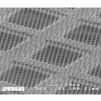 C-flat™ 200-400目复合孔 金网多孔纯碳支持膜