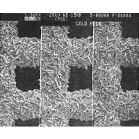 SPI带商标分辨率标样-多刺金-铜TEM网格-SEM