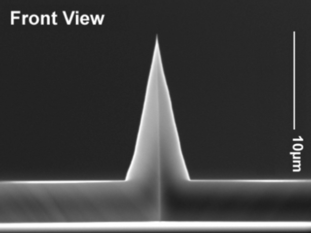 ATEC-CONTAu,导电可视化针尖,镀Au,0.2N/M,Nanosensors